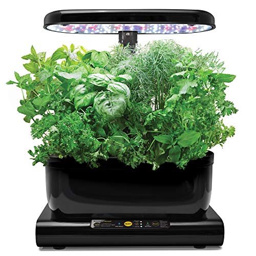 AeroGarden Harvest - Kit de cultivo interior smart garden, 6 capsulas, 20W, negro