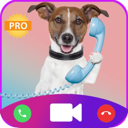 Fake call cute Dog Instant prank call video