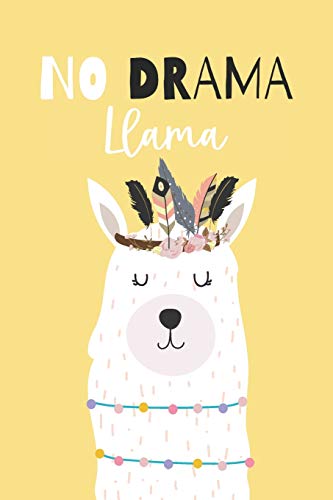 no drama llama: 2020-2024 Organizador del planificador mensual de cinco años vista extendida de 60 meses