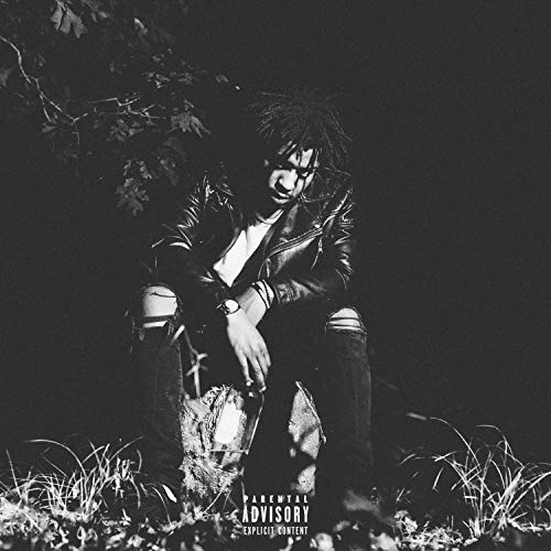 Shamba's Interlude [Explicit]