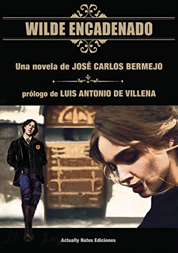 Wilde Encadenado. La novela.: Una intriga romántica