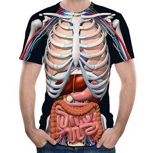 YOYOHO Camiseta de Manga Corta con Cuello Redondo de Halloween para Hombre Tops con Estampado 3D de Esqueleto - A # 2XL