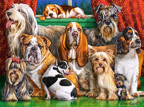 Castorland Dog Club 3000pieza(s) - Rompecabezas (Jigsaw Puzzle, Animales, Niños y Adultos, Perro, Niño/niña, 9 año(s))