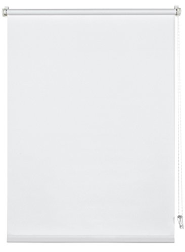 Deco Company Estor Enrollable para fijación con Clip, luz de día, Opaco, Todas Las Piezas de Montaje Incluidas, Color Blanco, 55 x 150 cm (Ancho x Alto)
