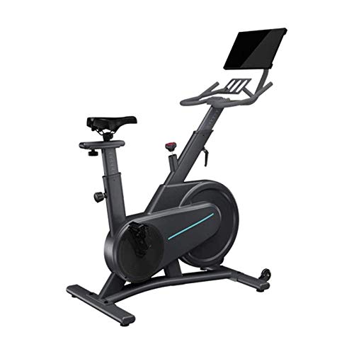 MGIZLJJ Bicicleta estática Bicicleta estática Bicicleta estática cubierta bici inmóvil de la aptitud con todo incluido volante de bicicleta con resistencia de gimnasio en casa Cardio entrenamiento del