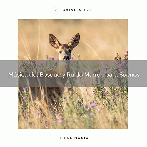 Música del Bosque y Ruido Marrón para Suenos