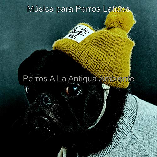 Perros A La Antigua Ambiente