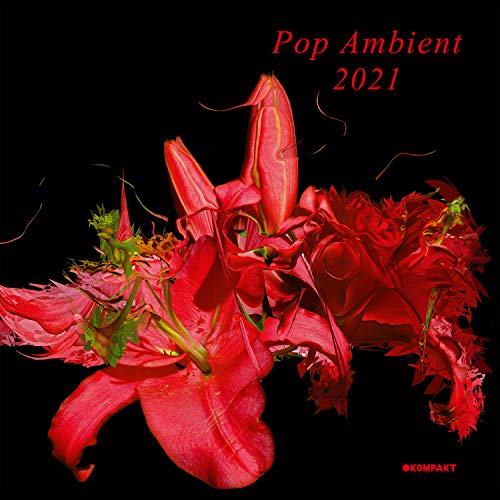 Pop Ambient 2021