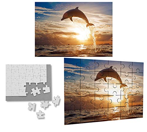 PUZZLE CON 30 PIEZAS DELFIN ATARDECER MAR OCEANO rompecabezas educativo puzle