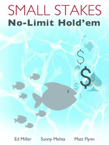 Small Stakes No-Limit Hold'em (English Edition)