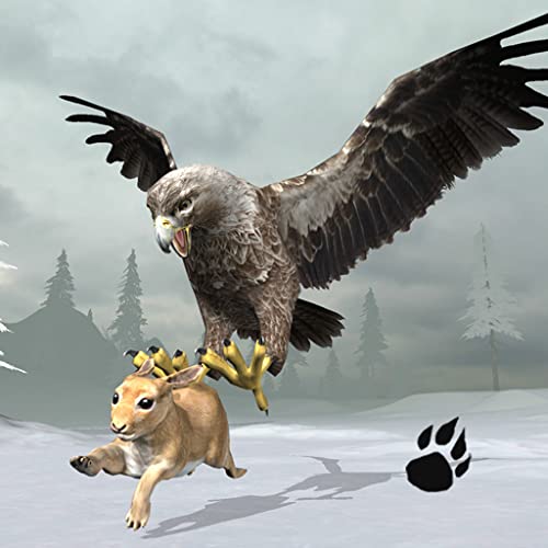 Snow Eagle Simulator