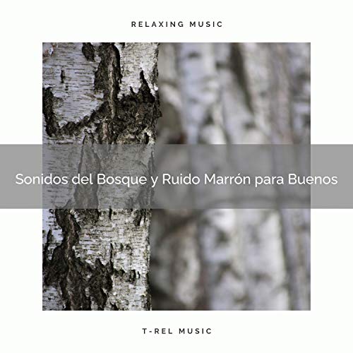 Sonidos del Bosque y Ruido Marrón para Buenos