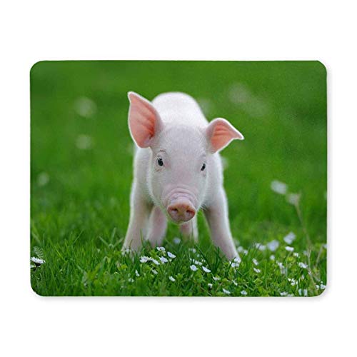 Yanteng Mouse Pads Cute Piglet on Spring Green Grass Animal Divertido rectángulo Antideslizante Rubber Mouse Pad Gaming Mousepad Mat para Oficina Hogar Mujer Hombre Empleado Jefe Trabajo