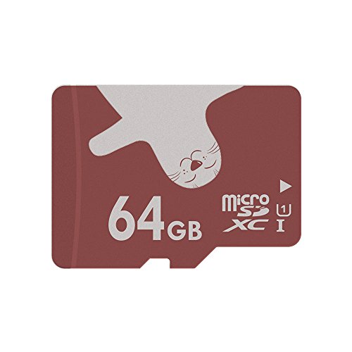 ALERTSEAL 2 Piezas Tarjeta de Memoria microSD de 64GB UHS-I(U1) Clase 10 (con Adaptador SD)