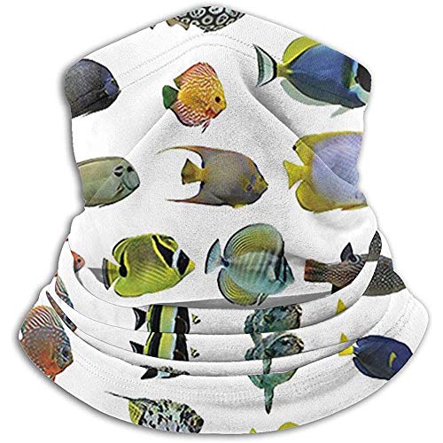 Bufanda De Tubo,Diademas,Pañuelo para La Cabeza,Figuras De Peces Pez Ángel Emperador Tang Discus Pez De Maíz Tipos Subacuáticos Patrón Sombreros Suaves,Capucha Sombreros De Invierno,Banda para El PE