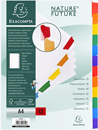 Exacompta 2312E - Separadores de 12 posiciones A4, Cartulina Blanca, 160 grs