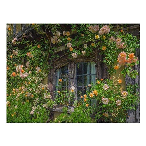 XAONUO Flor Fuera de la ventana-1000 Rompecabezas para Adultos, Gran Juego de Rompecabezas para niños con desafíos cerebrales, decoración familiar-50cmx75cm