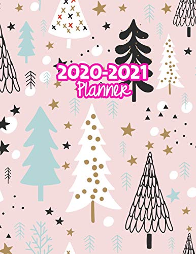 2020-2021 Planner: Two Year Calendar Organizer and Goal Journal | January 2020 - December 2021 Daily, Weekly and Monthly Planner Book with Back Sticker Expression Wall for 2 Years | Design Code 769910