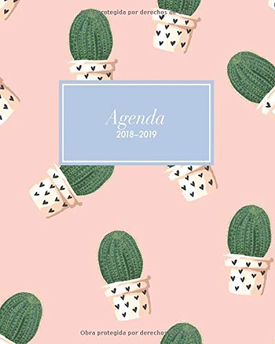 Agenda 2018-2019: Organizador y planificador con citas de inspiración, tamaño 20 x 25 cm, Diseño tropical cactus plantas rosado paraíso (Octubre 2018 - diciembre 2019)