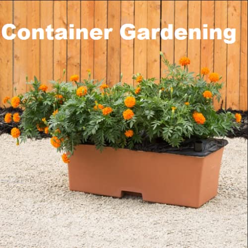 Container Gardening