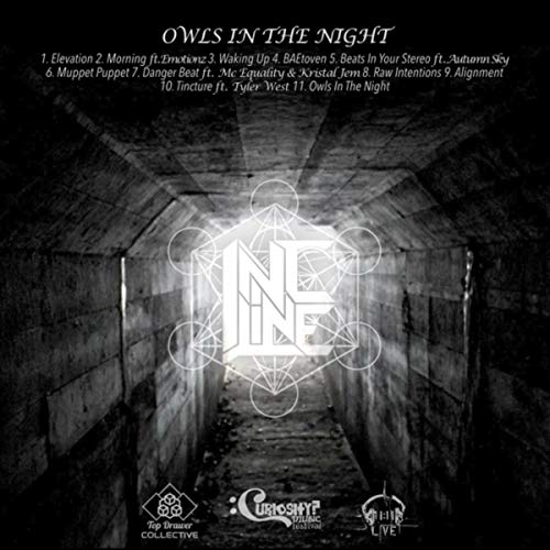 Owl's in the Night [Explicit]