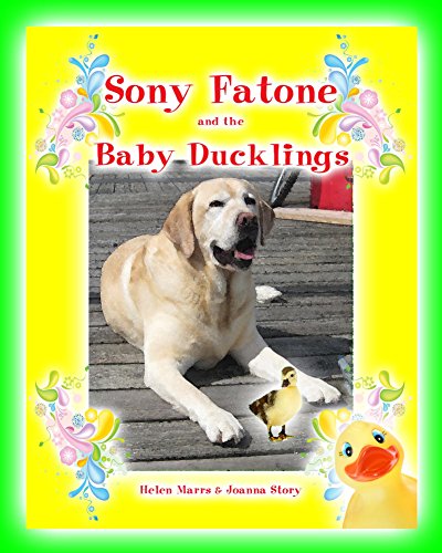 Sony Fatone and the Baby Ducklings (English Edition)