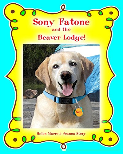 Sony Fatone and the Beaver Lodge (English Edition)
