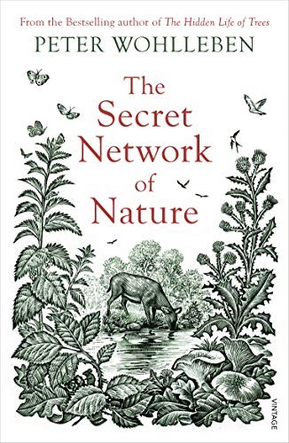 The Secret Network of Nature: The Delicate Balance of All Living Things (English Edition)