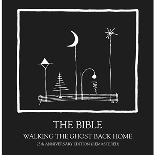 Walking The Ghost Back Home: 25th Anniversary Edition [Vinilo]