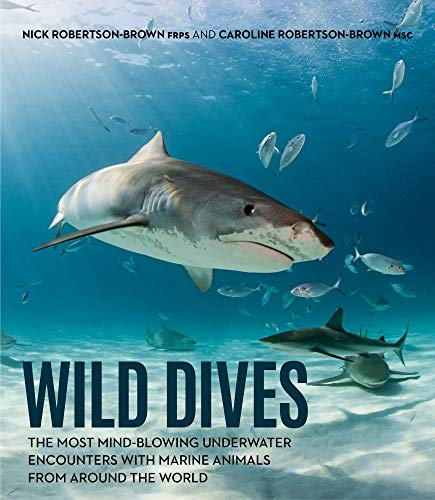 Wild Dives: The Most Mind-Blowing Underwater Encounters with Marine Animals from Around the World