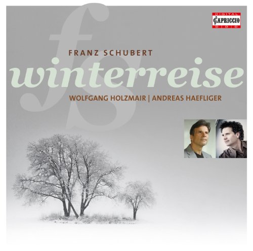 Winterreise, Op. 89, D. 911: No. 9. Irrlicht