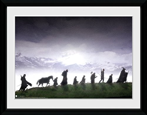 1art1 El Señor De Los Anillos - La Comunidad del Anillo Póster De Colección Enmarcado (40 x 30cm)