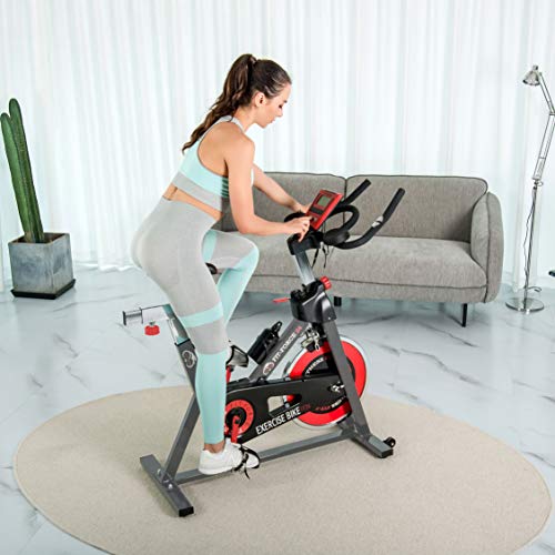 FIT-FORCE Bici estática Volante de inercia de 24kg Gris