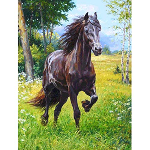 Ginfonr 5D Diamond Painting Diamante Pintura Pastizales Caballo Negro Por Kits Numéricos Pintura De Taladro Completo Con Decoración De Pared De Diamantes Art 30 * 40 cm