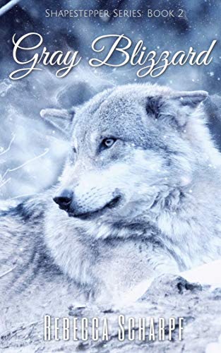 Gray Blizzard (Shapestepper Series Book 2) (English Edition)