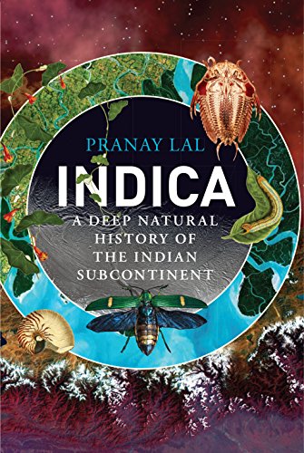 Indica: A Deep Natural History of the Indian Subcontinent (English Edition)