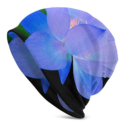 Qefgjbw Sombrero de loto azul azul para hombres y mujeres – Cálido, unisex, con puños lisos