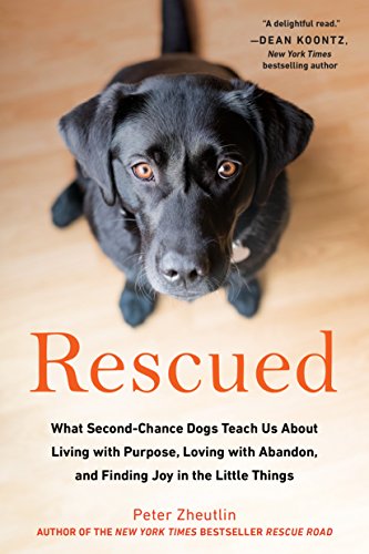 Rescued: What Second-Chance Dogs Teach Us About Living with Purpose, Loving with Abandon, and Finding Joy in the Little Things (English Edition)