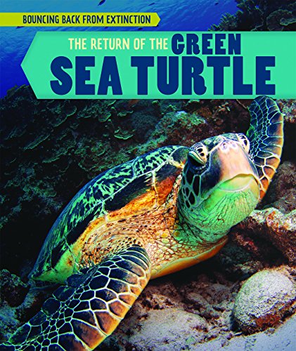 RETURN OF THE GREEN SEA TURTLE (Bouncing Back from Extinction)