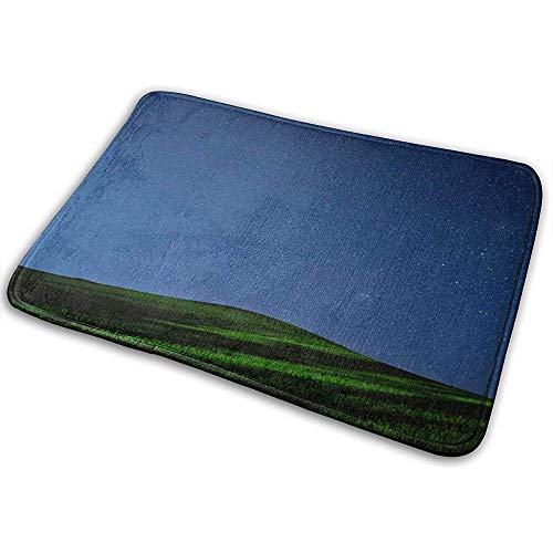 Taoshi Alfombrilla de Hierba Verde Alfombrilla para el hogar de Noche Alfombra de Piso Frontal Antideslizante súper Absorbente, Alfombra de Espuma de Memoria de Coral Blando Alfombras de Goma de baño