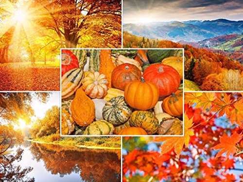 Automne de paysages (Lot de 6) : 50 IL Ensemble de cartes postales (5 motifs X 10 ST) pour Post Crossing et beaucoup de Bille de Edition Colibri (10695 Figurine – 99)