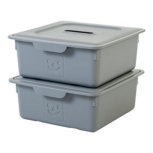 Iris Ohyama, lote de 2 cajas de almacenamiento de juguete con tapa - Smiley Kids Boxes - KDL-330, gris, 10 L, 31,5 x 33 x 13,5 cm