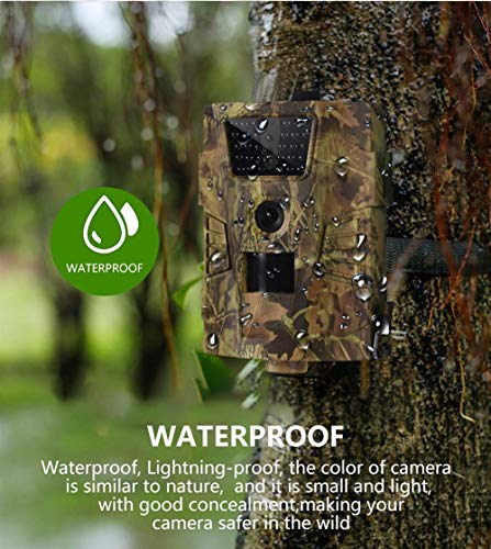 KUANGQIANWEI Wildlife Camera Trap Cámaras Camino de Vida Silvestre de la cámara de visión Nocturna por Infrarrojos HT001B Caza 12MP al Aire Libre de Seguimiento de Vigilancia Salvaje (Color : Yellow)