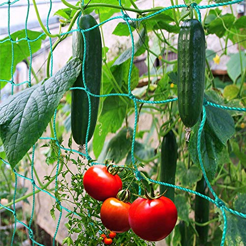 Malla para plantas trepadoras de alta calidad, 5 x 2 m, con gran ancho de malla y 10 clips para plantas trepadoras de pepinos tomates, plantas trepadoras, tutor de jardín e invernadero