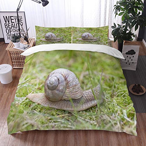 Qinniii Bedsure Funda Nórdica,Caracol Arrastrándose Hierba Cabeza en el Campo Animales Comestibles Hélice Fauna Naturaleza,Fundas Edredón 240 x 260 cmcon 1 Funda de Almohada 40x75cm