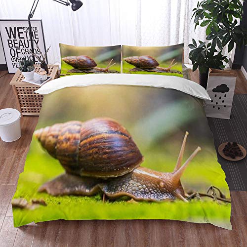 Qinniii Bedsure Funda Nórdica,Hoja Caracol Comestible Arrastre Musgo Suelo Animales Fauna Macro Textura húmeda Naturaleza,Fundas Edredón 240 x 260 cmcon 1 Funda de Almohada 40x75cm