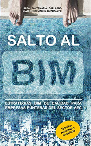 Salto al BIM: Estrategias BIM de calidad para empresas punteras del sector AEC