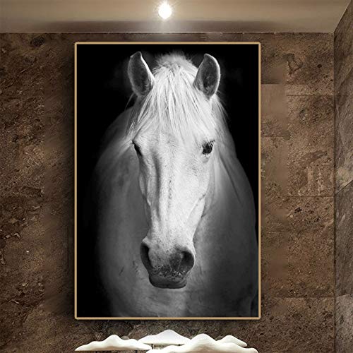 XCSMWJA Cuadro sobre Lienzo Cartel del Lienzo del Caballo Blanco Y Imprime El Lienzo Animal Pintura Pared Decoración De Arte Imágenes para La Decoración De La Sala De Estar del Hogar 30x40cm