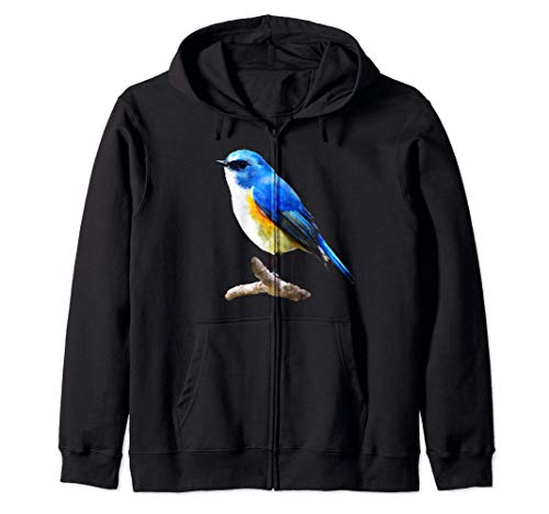 Arbusto Flanqueado Naranja Robin Acuarela Pájaro Animal Sudadera con Capucha