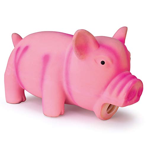 Cerdo rosa con sonido